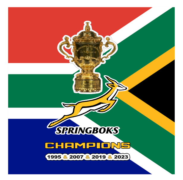 South African Flag and Springboks Rugby World Trophy Coasters Set