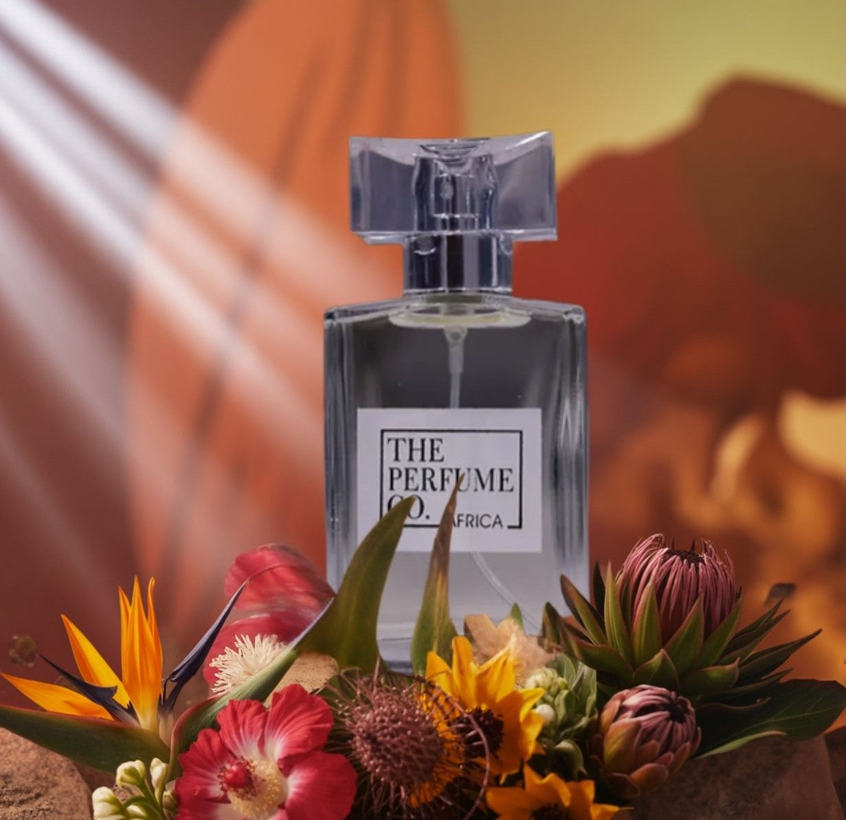The Perfume Co Africa - Scents for Her